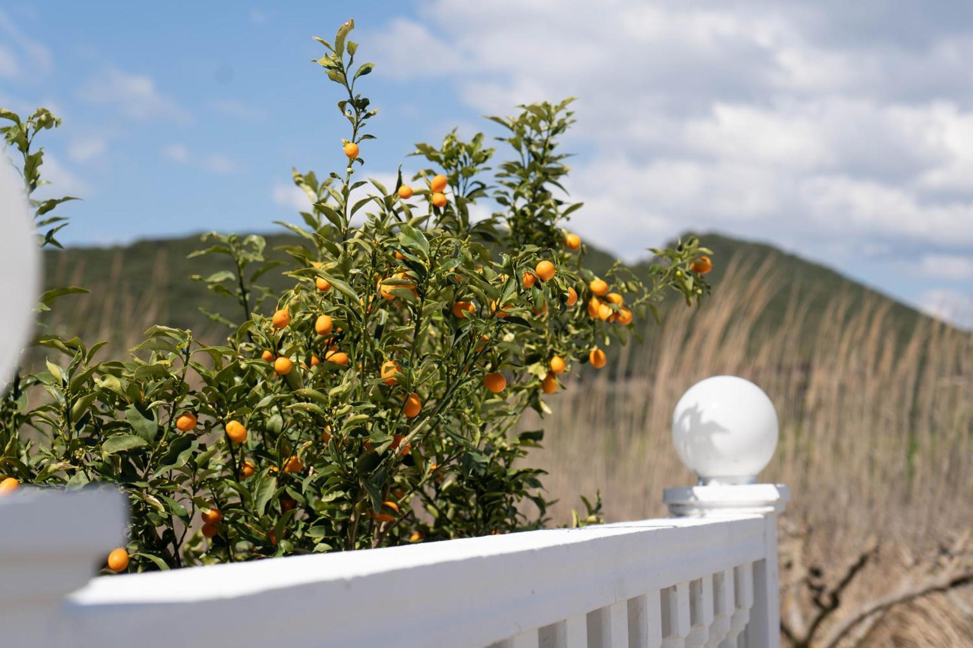 Hotel Alexandros Ammoudia Dış mekan fotoğraf